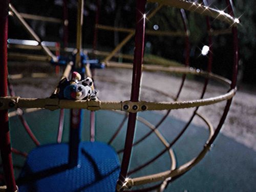 2025.10.26
公園にて
深夜の散歩もいいね