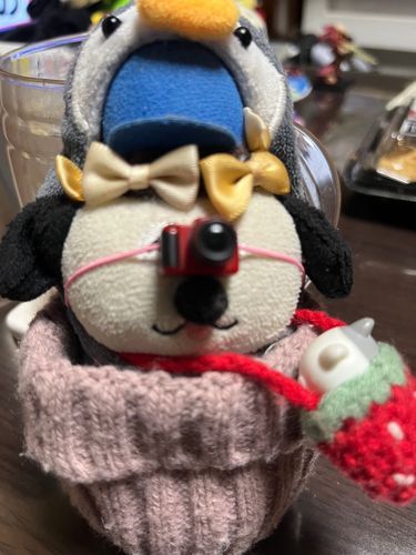 カシャ📷

今後、いろんな写真を撮っていくわよぉ〜！
パパラッチおばぁちゃんに乞うご期待ねっ❤️