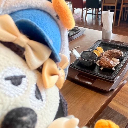 お昼はステーキガストに行ったわ🍖
サラダバーもモリモリ食べたわ🥦
満腹大満足よ❤️