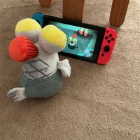 コジャケ