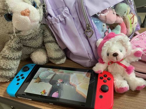 友達とゲームで遊んだにゃ！楽しかったにゃ！😺