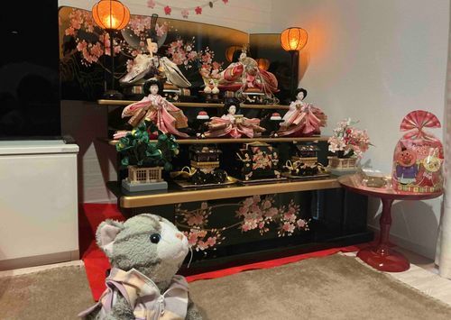 3/3はひなまつりだにゃ！
家に飾ってみたにゃ！どうにゃ？可愛い？