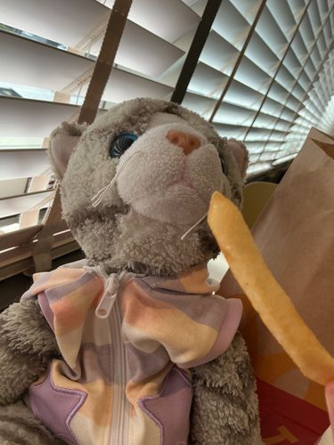 マクドナルドでポテトを食べてきたにゃ🍟美味しかったにゃ🐱😋