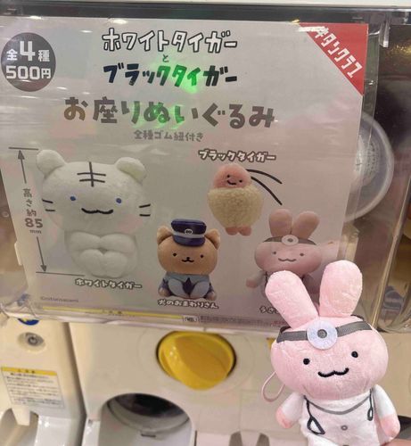 初めましてうさぎ先生です₍՞ .  ̫ . ՞₎
