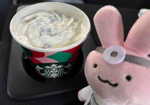 スタバでマカダミアホワイト何とかを飲んだよ