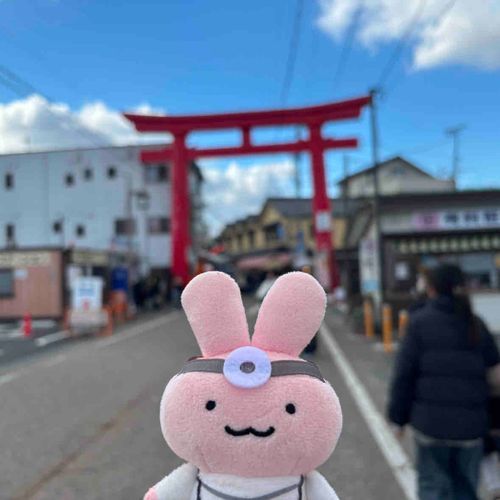 あけましておめでとうございます
今年もよろしくね