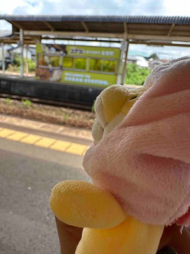 ん？なんかくるのか？
