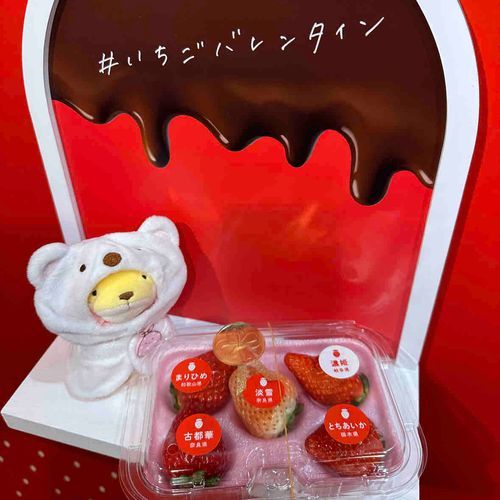 ばれんたいんってやつでいちごもらったよー！むずかしいかんじがいっぱいだ…🍓