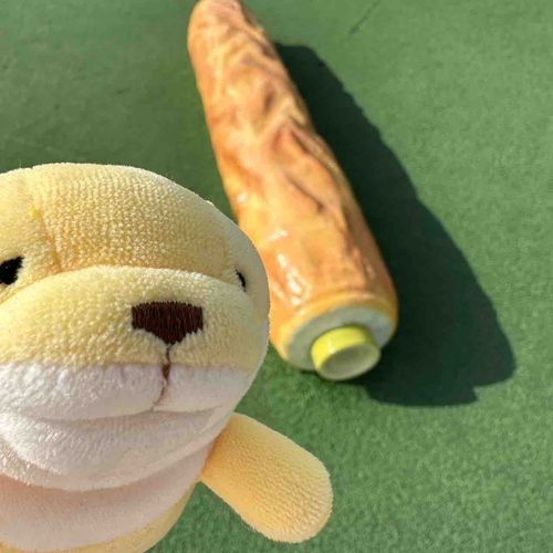 ん？何これ…ちく…わ？？