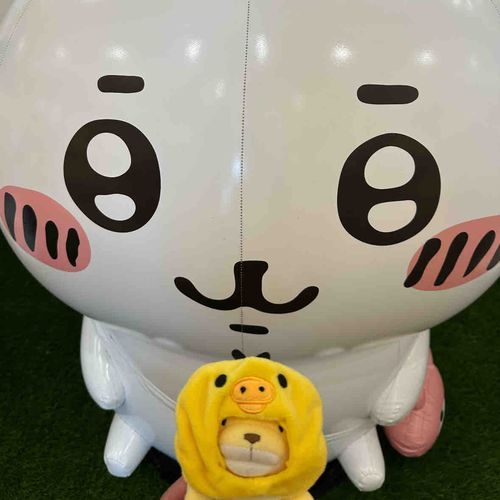これがいま大人気のちいかわさん！！
なんかこわくてめんま真顔になっちゃった💦