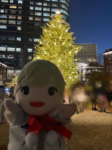 クリスマスマーケットには
大きなツリーもあったよ🎄