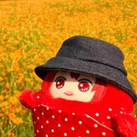 我が家のモンちゃんたち