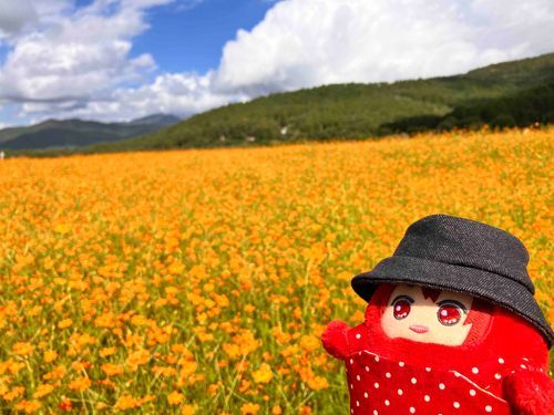 お花畑とモンりくさん