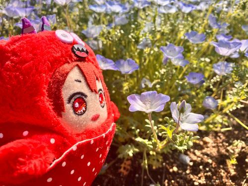✻*˸ꕤ*˸*⋆。✻*˸ꕤ*˸*⋆。✻*˸ꕤ*˸*⋆。