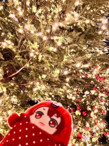 キラキラしてるね✨