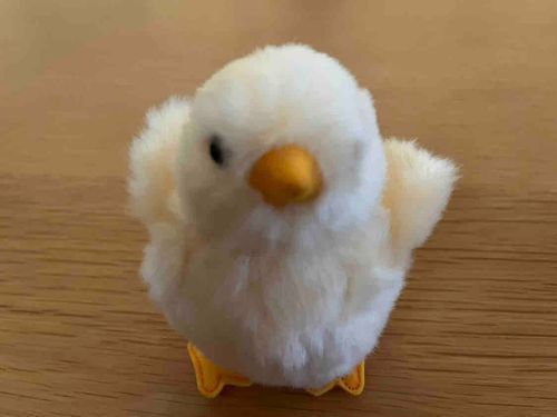 にんげんもすなるSNSといふものを、ひよこもしてみむとて、すなるなり。