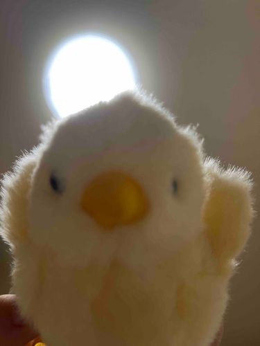 にんげん！
は　みがいてからねないと　こうかいするぞ！