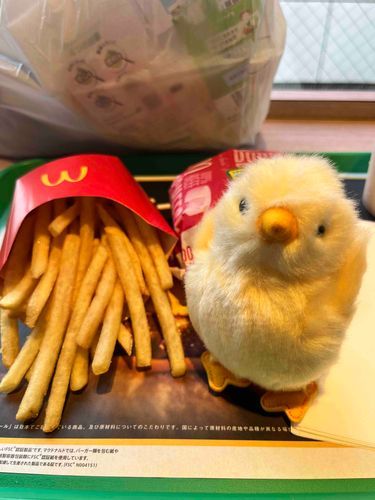 にんげん！
ぴらてぃすでうしなった　えんぶんと　かろりーを　これでとりもどせ！
くーの　しろぶどうも　あるぞ！