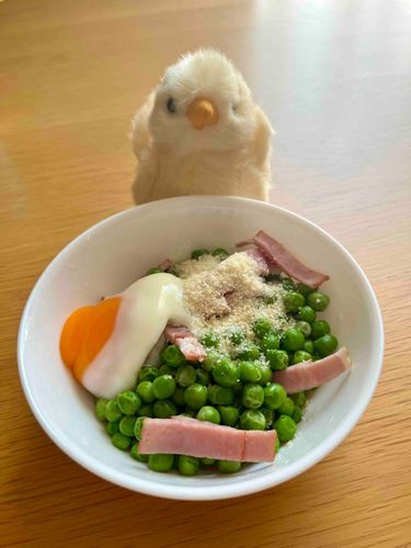 あのさらだが　いえでたべれるなんて