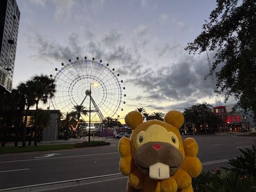 そーちょーのひこーきで、オーランドからシカゴに行くぶも！オーランド、でぃずにーとゆにば以外、沼しかない！ぶもっ🥺