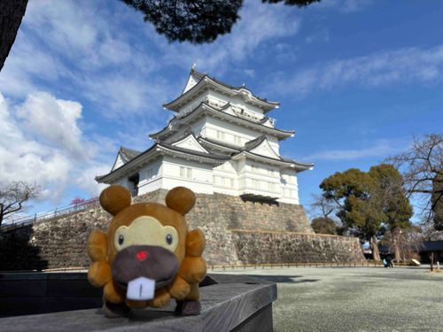 こぶもです！ちょっとまえに、おしろにいったぶも。まもりのへーたいがいなかったから、ぶもがせんきょしたぶも。ぶものしろぶもっ🥺