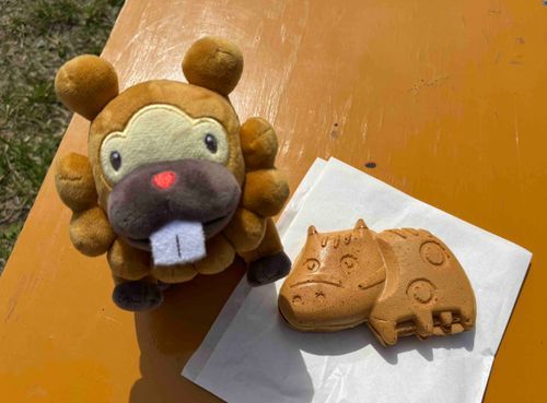 こぶもです！べこやき、かってもらったぶも。かわいくて、たべるのためらうぶも…。あたまからか、しっぽからか…ぶもっ🥺