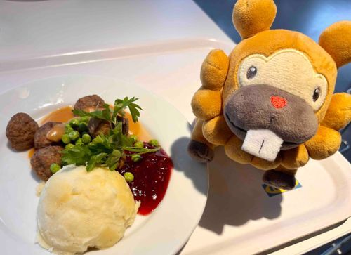 こぶもです！いけあにいってきたぶも！いけあのみーとぼーる、だいすきぶも！まいかいこれたべてるぶも。うますぎるぶもっ🥺