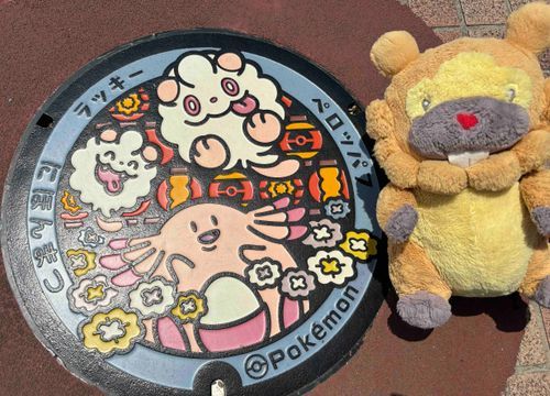 ちょーちんが、もんすたーぼーる柄でおしゃれぶもー！ペロッパフさん、わたあめみたいだけど…なめたらうまい…ぶも…？ぶもー😤
