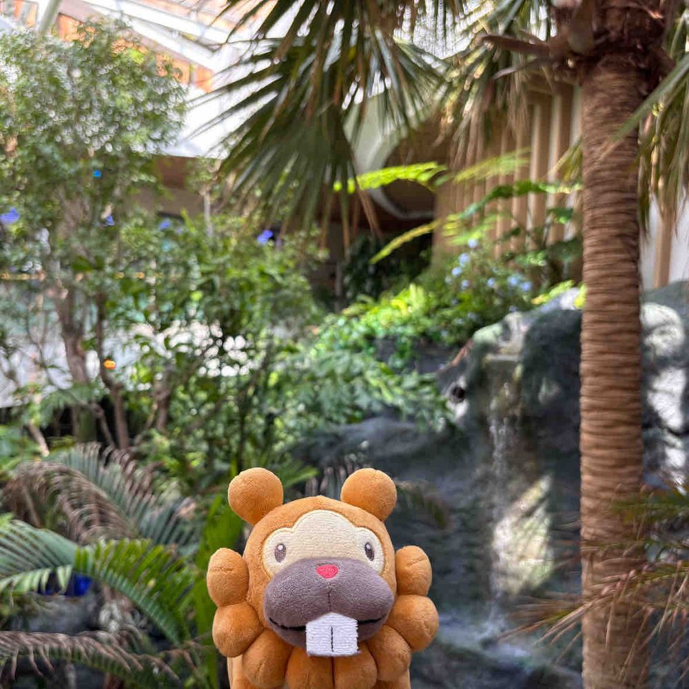 ばんぱく、まんきつしてるぶも！これはすごいところぶも。いろんなくににいけるぶもっ🥺
1 ちり！おしゃれなぺんぎんさんがいたぶも！
2 まるた！よろいとか、いせきがあったぶも。たてものはだいがめんぶも！
3 いんどねしあ！たてもののなかがじゃんぐるぶも。とらさんとぞうさんがいたぶも！
4 あぜるばいじゃん！みずのうえで、おねーさんがおどってたぶも！