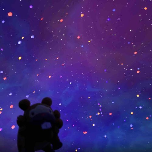 ばんぱくのたび、きょうでさいごぶも！めちゃ楽しかったぶもっ🥺
1 しんがぽーる！かんどうしてないちゃったぶも。みんなのゆめがあつまるくにぶも！
2 ばーれーん！ふねみたいな、びじゅつかんみたいなたてものぶも。かっくいいぶも！
3 なんと！だいすきなビーバーの、ばんぱくげんてーひんぶも！のーちぇっくだったから、ばくがいしちゃったぶも！
4 しめはやっぱりたこやきぶも！うまかったぶも！
