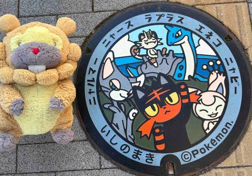 ねこポケモンだいしゅーごーぶも！ニャース先輩のどや顔たまらんぶも！ニャルマーさんはシンオウちほーでぼーけんした仲ぶもー😤