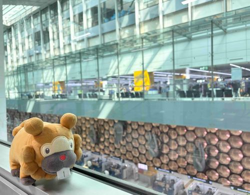 ぬわー！！！ドバイから帰るひこーきが遅れて、のりつぎしっぱいぶも！！インドのくーこーに一泊ついかぶも！ぐぬぬぬぶもっ🥺