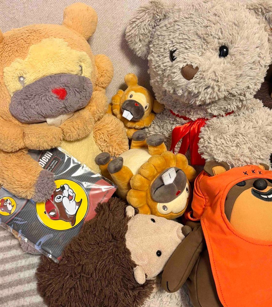 こぶもとモーリーが、無事に帰ってきたぶも!家ついたしゅんかん、ばたんきゅーぶも!ぶもは、おみやげのせんべつをするぶもー😤