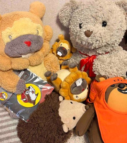 こぶもとモーリーが、無事に帰ってきたぶも！家ついたしゅんかん、ばたんきゅーぶも！ぶもは、おみやげのせんべつをするぶもー😤
