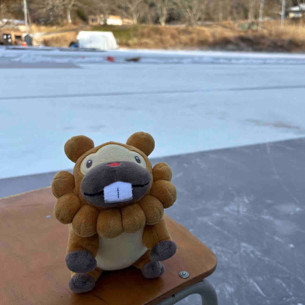 こぶもです！たんぼにお水はってつくった、すけーとりんくにいったぶも！すいーっ！ってじょーずにすべれたぶもっ🥺