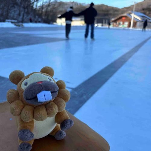 こぶもです！たんぼにお水はってつくった、すけーとりんくにいったぶも！すいーっ！ってじょーずにすべれたぶもっ🥺