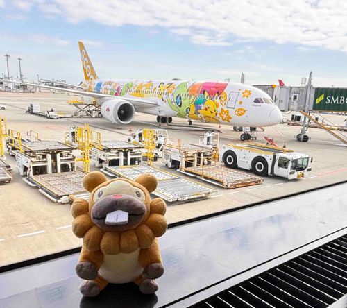 こぶもです！今日からまた、べるりんにしゅっちょーいってきます！くーこーで、ピカチュウジェットはっけん！かっくいいぶもっ🥺