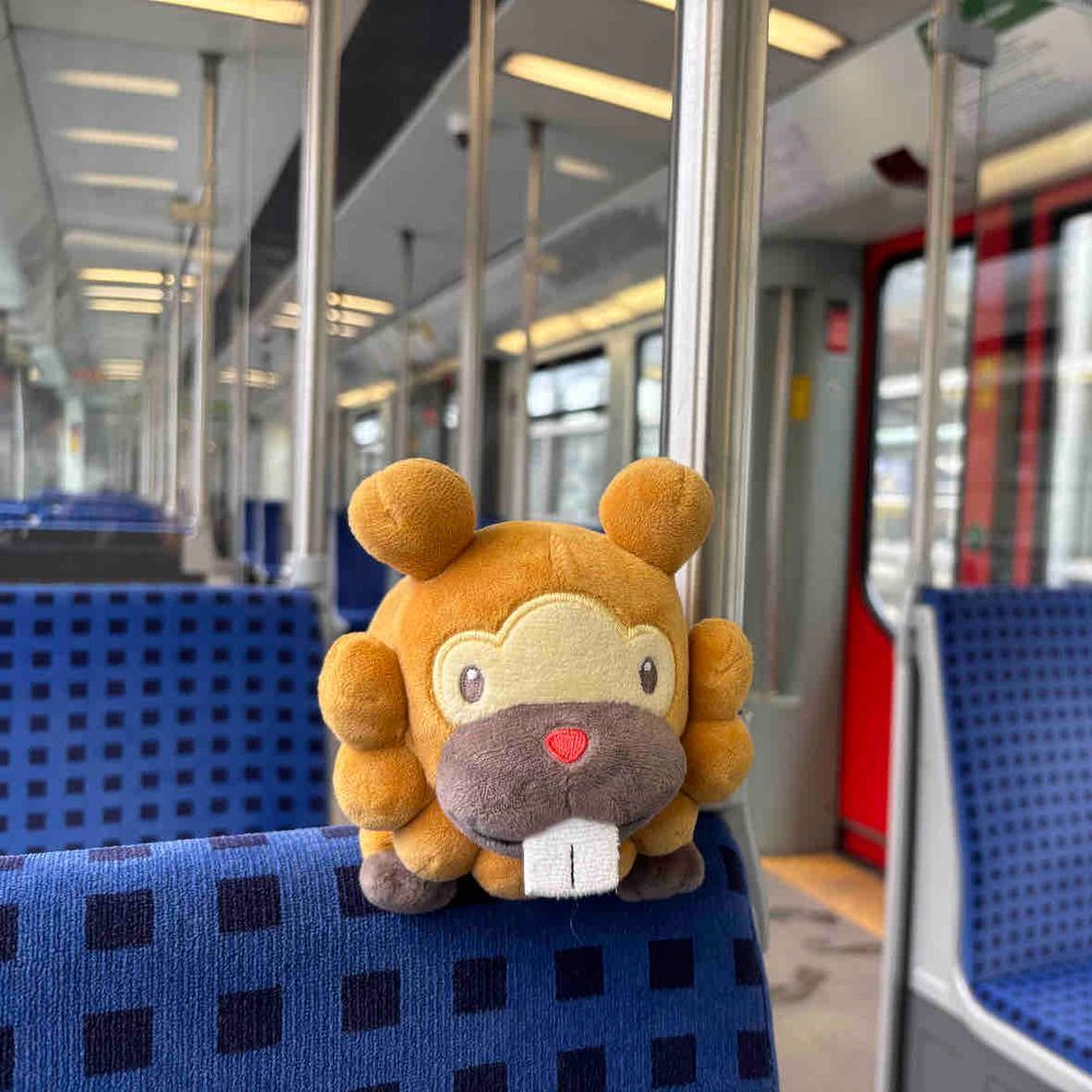 でんしゃにのって、おでかけぶも!めちゃすいてたぶも。パンタグラフが、あったりなかったりぶも。どーやって走るのか不思議ぶもっ🥺