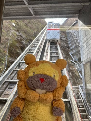 神奈川県　宮ヶ瀬ダム　これは、インクラインって名前ののりものぶも！ダムの下と上に駅がある！めっちゃ急角度で楽しいぶもー😤