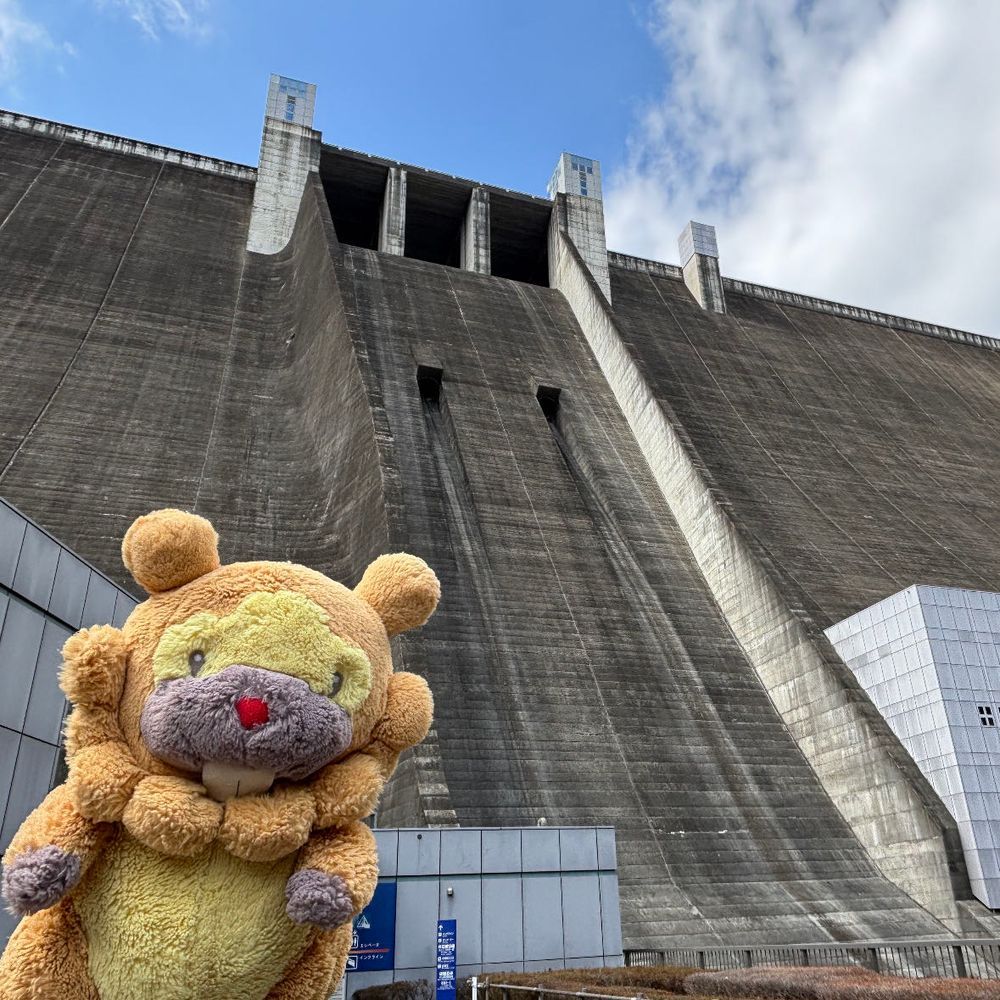 神奈川県　宮ヶ瀬ダム　いやー、ほんとまんきつしたぶも！いいダム！近づいてって〜、堤体❤️さわっちゃお❤️ぶもー❤️😤❤️