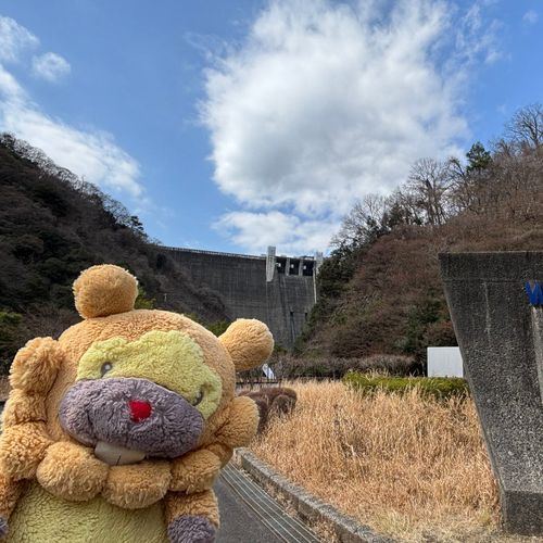 神奈川県　宮ヶ瀬ダム　いやー、ほんとまんきつしたぶも！いいダム！近づいてって〜、堤体❤️さわっちゃお❤️ぶもー❤️😤❤️
