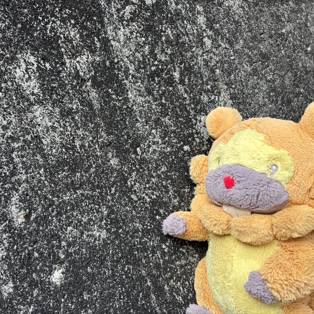 神奈川県　宮ヶ瀬ダム　いやー、ほんとまんきつしたぶも！いいダム！近づいてって〜、堤体❤️さわっちゃお❤️ぶもー❤️😤❤️