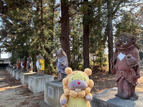 ぶんぶくちゃがまのお寺に来たぶも！たぬきさんがならんでて、ちょっとこわ…くない…ぶも！ぶんぶくってどゆ意味？ぶもー😤