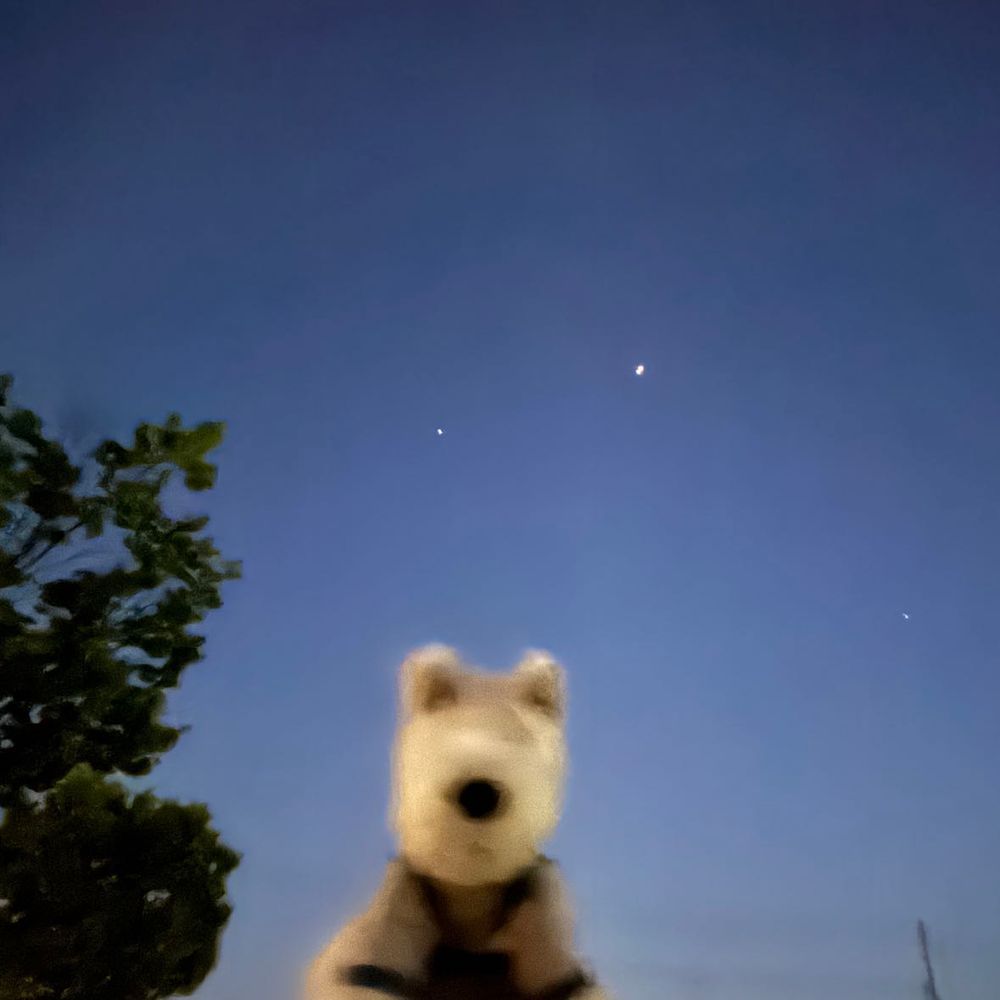 ぶもの家族の宇宙犬おたまちゃんが、宇宙ステーションきぼうを見に行ってたぶも！奇跡的にいい写真がとれたぶも！
ちなみに、2枚目が普通の写真…1枚目はびっくりな出来ぶもー🌟😤🌟