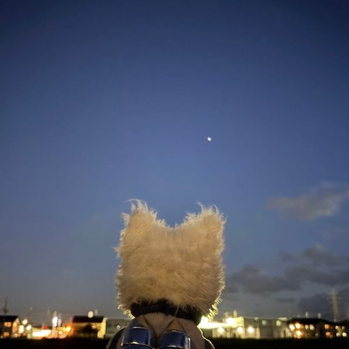 ぶもの家族の宇宙犬おたまちゃんが、宇宙ステーションきぼうを見に行ってたぶも！奇跡的にいい写真がとれたぶも！
ちなみに、2枚目が普通の写真…1枚目はびっくりな出来ぶもー🌟😤🌟