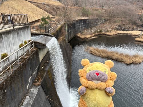 ダムの放流っていうと、ザバー！ってのをそーぞーするけど、現実はこれぶも！発電しおわったお水がぶもーってなるのか放流ぶもー😤