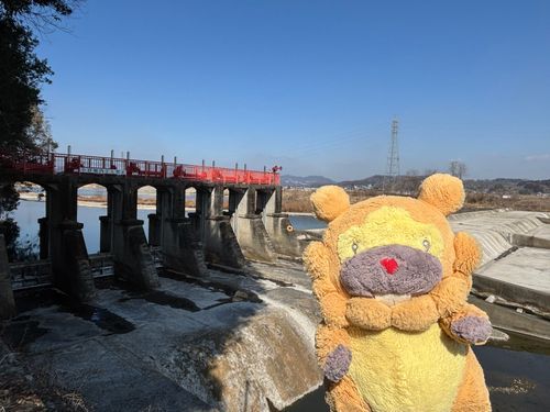 栃木県　小倉堰　横にめっちゃ長いぶも！関東の三堰って呼ばれてるけど、他の2個はどこかわからんらしい。そんなことある？ぶもー😤