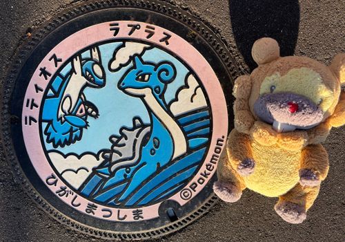なんかこの２匹、お顔とかのかんじが似てるぶも。ラティオス先輩、マッハ４で飛ぶってほんとかなー？もってないかなー？ぶもー😤