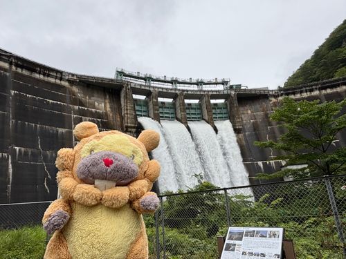 宮城県　大倉ダム　すごい放流してた！！クレストゲート全開！！さいきょー！ごごごーって音と、水しぶきがハンパない！最高ぶもー😤