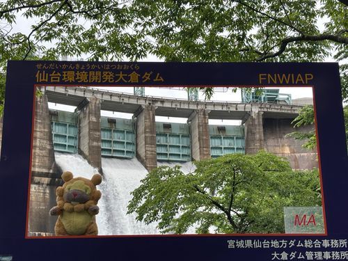 宮城県　大倉ダム　奇跡の放流ダムカードしょっと！右下のMA（マルチプルアーチ）は超超超レア！日本に２基しかない！ぶもー😤